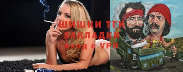 молекула духа Алексин