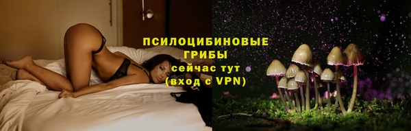 PSILOCYBIN Алзамай