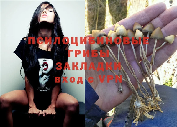 PSILOCYBIN Алзамай