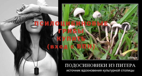молекула духа Алексин