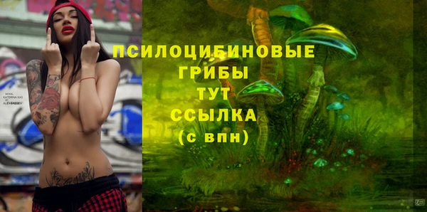 молекула духа Алексин