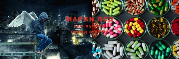 PSILOCYBIN Алзамай