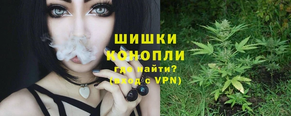 PSILOCYBIN Алзамай