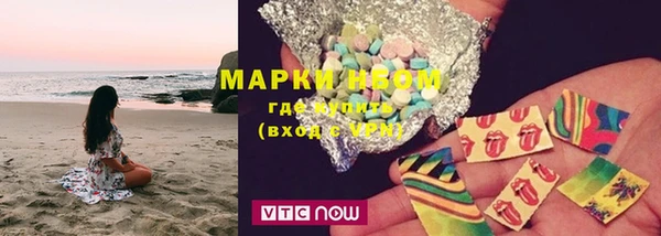 PSILOCYBIN Алзамай